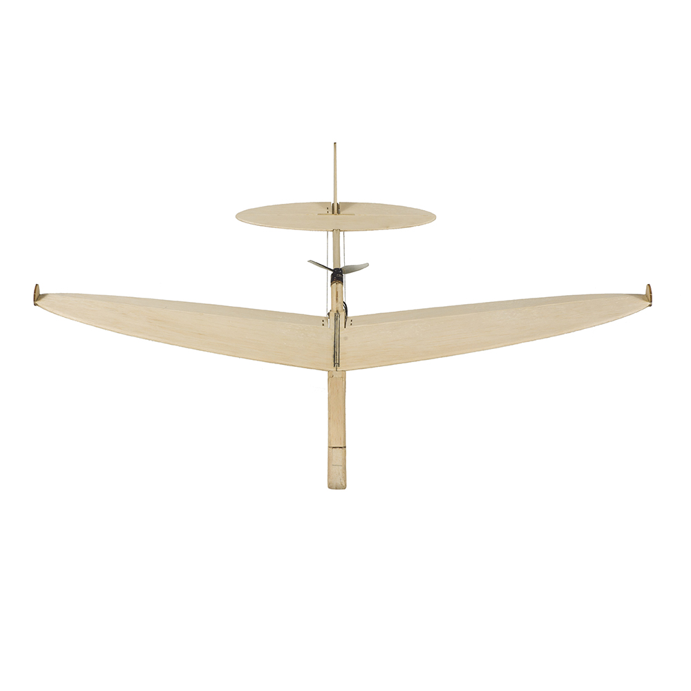 RC Plane Model Laser Cut Balsa - Flight Controller review and price